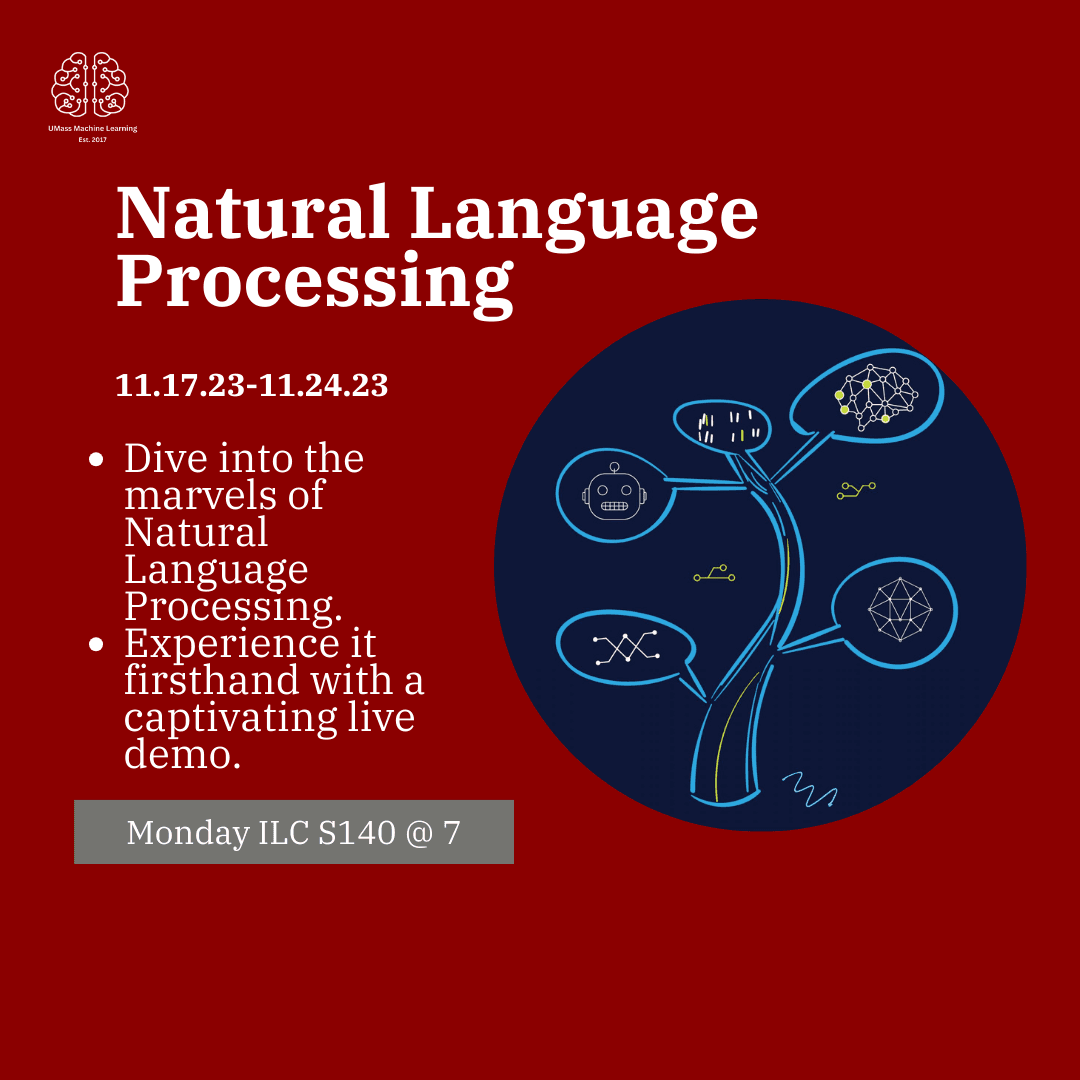 Natural Language Processing (NLP)